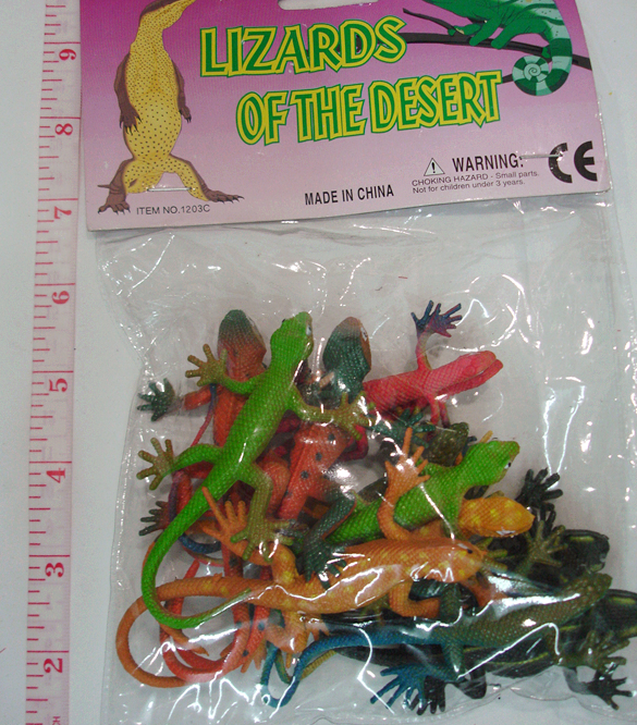Lizards of the desert